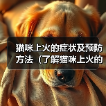 猫咪上火的症状及预防方法(了解猫咪上火的迹象,保护它们的健康)(图4) 猫咪上火的症状及预防方法(了解猫咪上火的迹象,保护它们的健康)(图4)