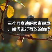三个月泰迪呼吸声很重，如何进行有效的治疗？（探究泰迪呼吸困难的原因及治疗方法）(图4)