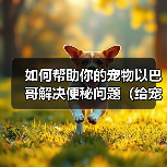 如何帮助你的宠物以巴哥解决便秘问题（给宠物以巴哥提供更健康的生活方式）(图2)