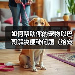 如何帮助你的宠物以巴哥解决便秘问题（给宠物以巴哥提供更健康的生活方式）(图4)