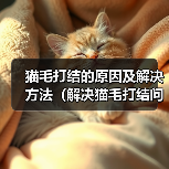 猫毛打结的原因及解决方法（解决猫毛打结问题，让猫咪更健康快乐）(图3)