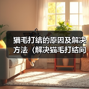 猫毛打结的原因及解决方法（解决猫毛打结问题，让猫咪更健康快乐）
