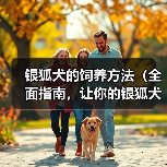银狐犬的饲养方法（全面指南，让你的银狐犬健康成长）(图4)
