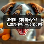 如何训练博美站立？（从基础开始一步步训练，让你的狗狗优雅地站立）(图1)