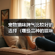 宠物猫咪脾气比较好的选择（哪些品种的猫咪性格温顺友好）(图3)