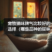 宠物猫咪脾气比较好的选择（哪些品种的猫咪性格温顺友好）(图1)