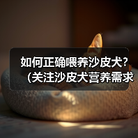 如何正确喂养沙皮犬？（关注沙皮犬营养需求，让它健康快乐成长）(图3)