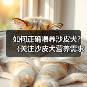 如何正确喂养沙皮犬？（关注沙皮犬营养需求，让它健康快乐成长）(图2)