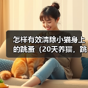 怎样有效清除小猫身上的跳蚤（20天养猫，跳蚤不再困扰/跳蚤侵扰小猫，该怎么办？）(图3)