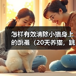怎样有效清除小猫身上的跳蚤（20天养猫，跳蚤不再困扰/跳蚤侵扰小猫，该怎么办？）(图1)