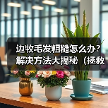 边牧毛发粗糙怎么办？解决方法大揭秘（拯救你的边牧宝贝，让其恢复柔顺光泽）(图3)
