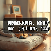 狗狗细小肺炎，如何护理？（细小肺炎，狗狗需要怎样的治疗与关爱？）(图2)