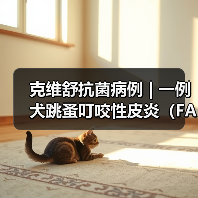 克维舒抗菌病例 | 一例犬跳蚤叮咬性皮炎（FAD）的病例分析(图3)