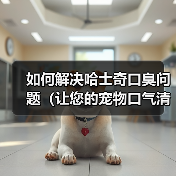 如何解决哈士奇口臭问题（让您的宠物口气清新自然）(图1)