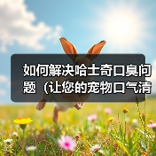 如何解决哈士奇口臭问题（让您的宠物口气清新自然）(图4)