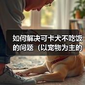 如何解决可卡犬不吃饭的问题（以宠物为主的专业建议，快速让你的可卡犬恢复食欲）(图4)