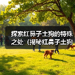 探索红鼻子土狗的特殊之处（揭秘红鼻子土狗的独特品质与行为习性）(图4)