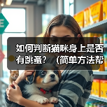 如何判断猫咪身上是否有跳蚤？（简单方法帮助铲屎官们发现猫咪跳蚤问题）(图2)