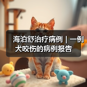 海泊舒治疗病例 | 一例犬咬伤的病例报告(图4)