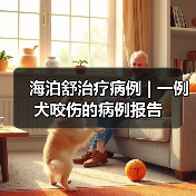 海泊舒治疗病例 | 一例犬咬伤的病例报告(图2)