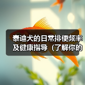 泰迪犬的日常排便频率及健康指导（了解你的宠物）(图3)