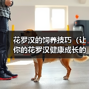 花罗汉的饲养技巧（让你的花罗汉健康成长的实用指南）(图2)