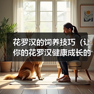 花罗汉的饲养技巧（让你的花罗汉健康成长的实用指南）(图4)