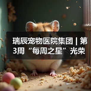 瑞辰宠物医院集团 | 第3周“每周之星”光荣榜(图3)