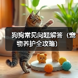 狗狗常见问题解答（宠物养护全攻略）(图4)