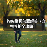 狗狗常见问题解答（宠物养护全攻略）(图2)