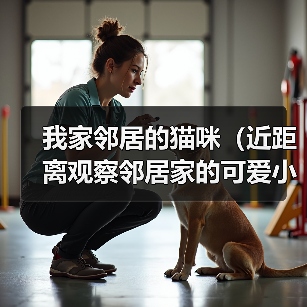 我家邻居的猫咪（近距离观察邻居家的可爱小猫，惊奇发现……）(图4)