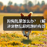 狗狗乱尿怎么办？（解决宠物乱尿问题的有效方法）(图1)