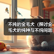 不纯的金毛犬（探讨金毛犬的纯种与不纯问题，了解如何辨别金毛的纯度）