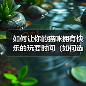 如何让你的猫咪拥有快乐的玩耍时间（如何选择适合猫咪的玩具）(图1)