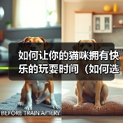 如何让你的猫咪拥有快乐的玩耍时间（如何选择适合猫咪的玩具）(图3)