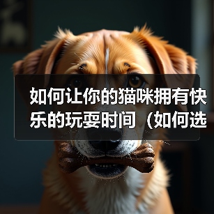 如何让你的猫咪拥有快乐的玩耍时间（如何选择适合猫咪的玩具）(图2)