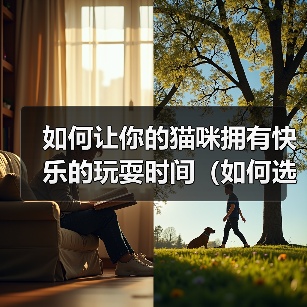 如何让你的猫咪拥有快乐的玩耍时间（如何选择适合猫咪的玩具）(图4)