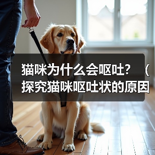 猫咪为什么会呕吐？（探究猫咪呕吐状的原因及处理方法）