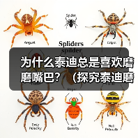 为什么泰迪总是喜欢磨磨嘴巴？（探究泰迪磨嘴巴的原因和意义）(图1)