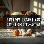 1月19日【杭州】(第122期)丨外科手术(中阶)实战班，2人/组提供一猫一狗，实操超多！(图1)