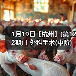1月19日【杭州】(第122期)丨外科手术(中阶)实战班，2人/组提供一猫一狗，实操超多！(图2)