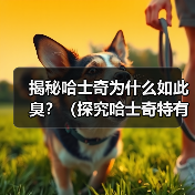 揭秘哈士奇为什么如此臭？（探究哈士奇特有的气味源于何处）(图4)