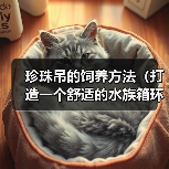 珍珠吊的饲养方法（打造一个舒适的水族箱环境）(图1)