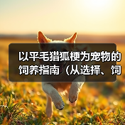 以平毛猎狐梗为宠物的饲养指南（从选择、饲料到训练，了解平毛猎狐梗的一切）(图2)
