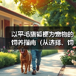 以平毛猎狐梗为宠物的饲养指南（从选择、饲料到训练，了解平毛猎狐梗的一切）(图4)