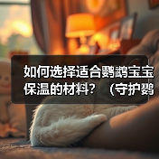 如何选择适合鹦鹉宝宝保温的材料？（守护鹦鹉宝宝的舒适和健康）(图1)