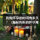 狗狗怀孕的时间有多久？（揭秘狗狗的怀孕周期及相关知识）(图3)