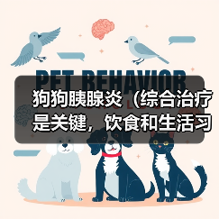 狗狗胰腺炎（综合治疗是关键，饮食和生活习惯也重要）(图2)