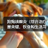 狗狗胰腺炎（综合治疗是关键，饮食和生活习惯也重要）(图4)