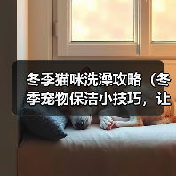 冬季猫咪洗澡攻略（冬季宠物保洁小技巧，让猫咪健康舒适过冬）(图4)